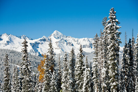 A late fall storm left a foot of fresh powder on Wilson Peak in The San Juan Mountains around Telluride, Colorado. Storms are a normal occurrence in the southern San Juan Mountains and it can snow anytime of the year. Telluride is known for great skiing terrain.