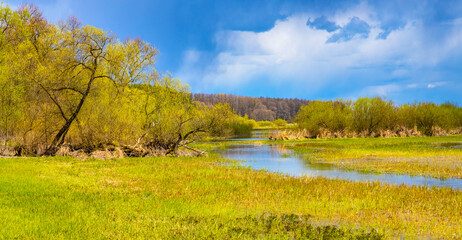 Early spring panoramic view of Biebrza river valley wetlands and wooded shore landscape under...