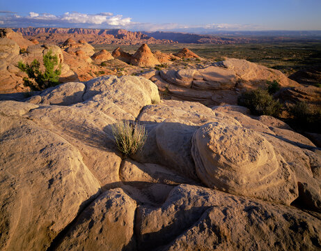 Sandstone rocks, Paria Canyon, Vermillion Cliffs Wilderness