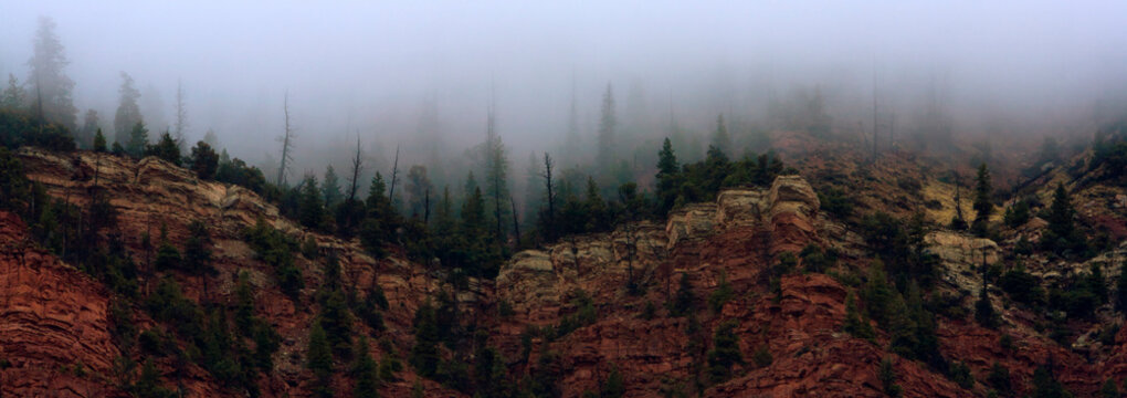 The red sandstone cliffs of Bellyache Ridge covered in fog during late fall in Wolcott Colorado.