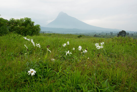 View of Mount Bukima from the Bukima Patrol Post in Virunga National Park