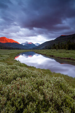 Christmas Meadows, Uintas