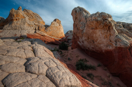 Paria Canyon-Vermilion Cliffs Wilderness: Whitepocket