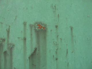 Background - an old green iron sheet with rust, streaks and peeling paint