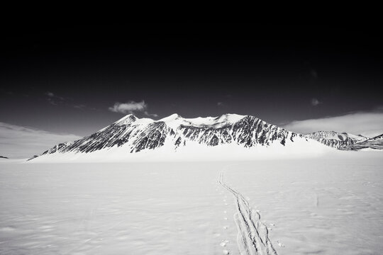 Ski tracks in Antarctica