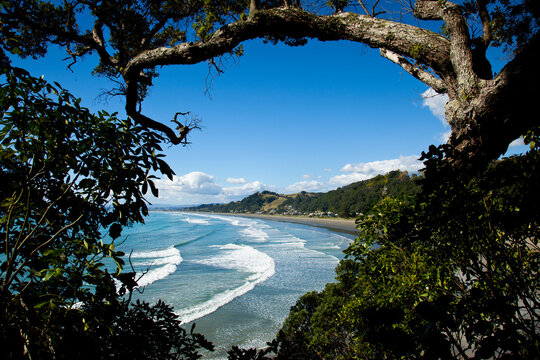 A tree frames the view of the surf coming into Waiotahi Beach on New Zealand's North Island near the town of Opotiki, the easternmost town in the Bay of Plenty region.