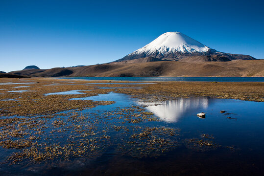 The Parinacota volcano in Chile rises thousands of feet above the puna to over000' above sea level during sunset.