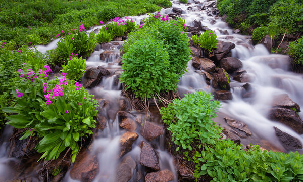 A mountain stream flows out of a remote lake within the Indian Peaks Wilderness Area near Rocky Mountain National Park in Colorado.
