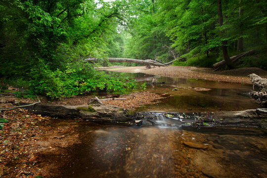 Little Sandy Creek, Rocky Springs, Natchez Trace Parkway, Tennessee and Mississippi, USA
