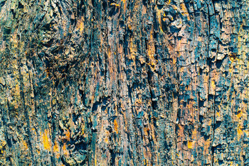 Grungy wood texture, macro. Abstract wallpaper.