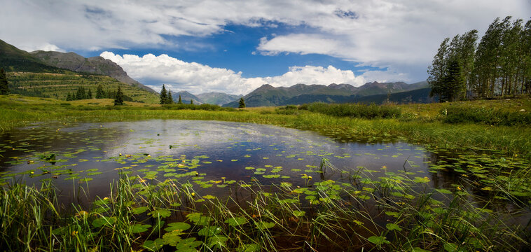 Pond with Lilly pads in Molas Divide, Rocky Mountains