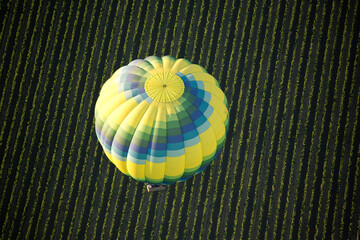 Hot Air Ballooning flying low over the vineyards in Napa Valley California