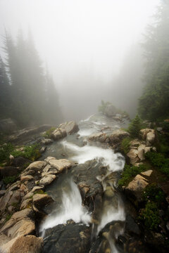 Edith Creek, Paradise Park, Cascade Range, Mount Rainier National Park