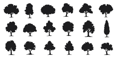various deciduous trees silhouettes on the white background