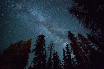 The Milky Way shines above the forest in the San Juan Mountains of southern Colorado.