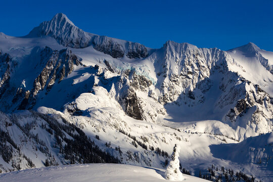 Brilliant late afternoon light shining across Mount Shuksan in the backcountry near Mount Baker Ski Area in winter.
