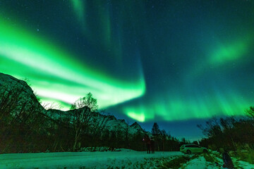 Nordlichter in Troms, Nordnorwegen. tanzende Aurora Borealis in grün, pink und weiss. wundervolles Naturerlebnis im hohen Norden in einer klaren und kalten Winternacht in den Lyngenalps.