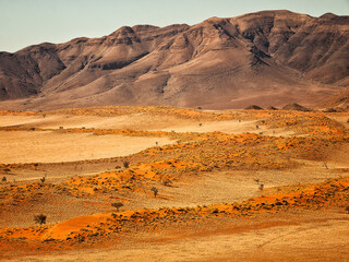 Wide angle view of NamibRand's orange sand dunes, trees and grasses with rugged mountains, Namib desert, Namibia