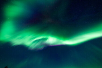 Nordlichter in Troms, Nordnorwegen. tanzende Aurora Borealis in grün, pink und weiss. wundervolles Naturerlebnis im hohen Norden in einer klaren und kalten Winternacht in den Lyngenalps.