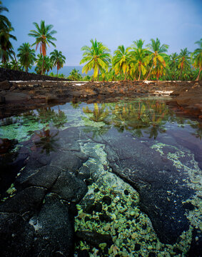 Pu uhonua o Honaunau NHP, Hawaii