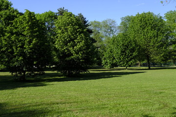 park without people in spring
