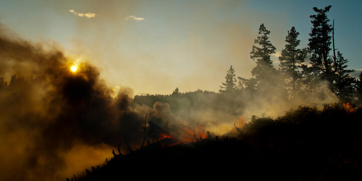 Firefighters in Washington state, USA prescribed burns in the area.