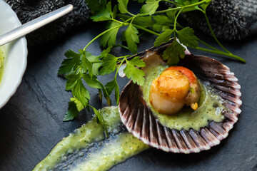 grilled scallops with coriander and green sauce on stone plate, seafood