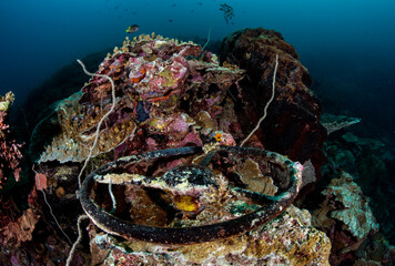 A WWII era truck submerged in the Solomon Islands.