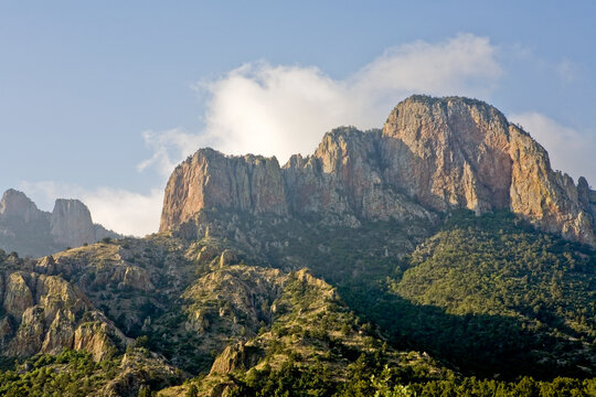 chisos detail, big bend national park, Texas