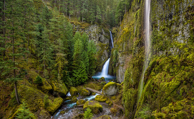 Lush spring green color at Wahclella Falls in the Columbia River Gorge