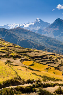 The steep terraced mountainsides are used for agriculture in the Apolobamba Range of the Andes in western Bolivia in winter.