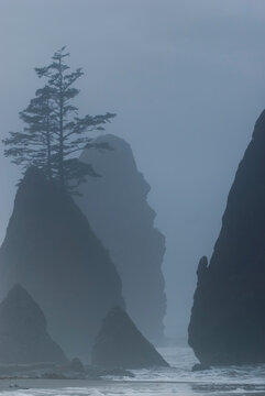 Shi Shi Beach near Cape Flattery, WA