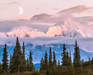 Half moon at sunset over Mt. Crosson and Kahiltna Dome, National Park, Alaska.