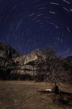Star Trails over Yosemite Falls. Taken from the valley floor.