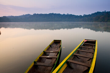Tourists and guides travel via canoe along the edges of Chalalan Lodge lagoon in Madidi NP in Bolivia observing wildlife.