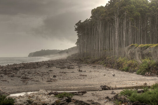 Bruce Bay on the South Island of New Zealand