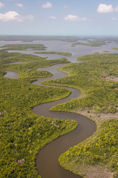 Creeks and waterways photographed from a helicopter within Everglades National Park, Florida.