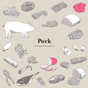 602 Best 豚足 Images Stock Photos Vectors Adobe Stock