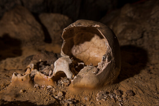 The almost intact skull of a Mayan sacrificial victim in the Crystal Cave in Belize.