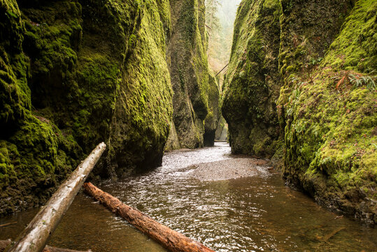 The striking beauty of the Oneonta Gorge slot canyon in the Columbia River Gorge outside of Portland Oregon.