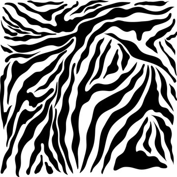Abstract geometric pattern on the skin of a zebra