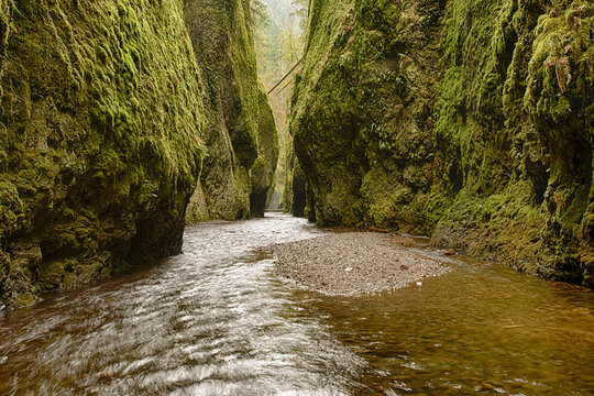 The striking beauty of the Oneonta Gorge slot canyon in the Columbia River Gorge outside of Portland Oregon.