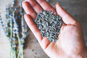 Dried lavender flowers and bouquet with lavender