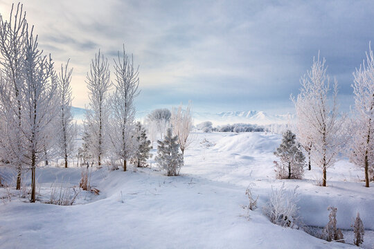 A frosty morning in the valleys of northern Utah.