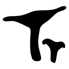 Chanterelle mushrooms silhouette image. Vector illustration.