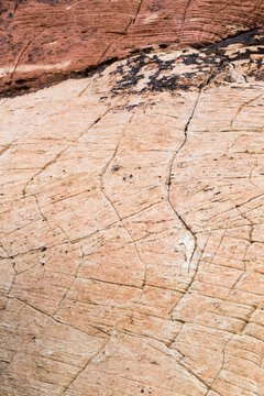 An abstract pattern in the sandstone of the Calico Hills, Red Rock Canyon National Conservation Area, Nevada