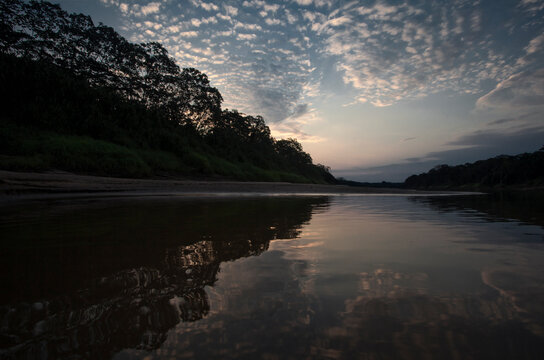 In the Amazon Basin of the Peruvian Rain forest located in the buffer zone to the Tambopata National Reserve.