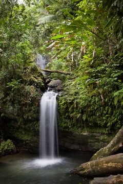 A small waterfall in El Yunque National Forest, Puerto Rico.