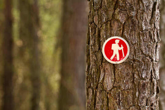 A hiking trail blaze/placard is seen on a pine tree near the Chesapeake Bay near Grasonville, Md.
