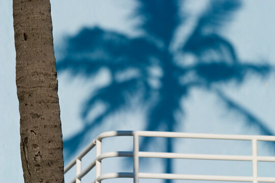 South Beach architecture details in the morning light.